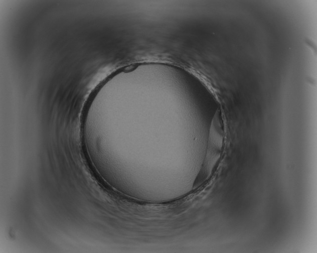 X0000091310008200708241124