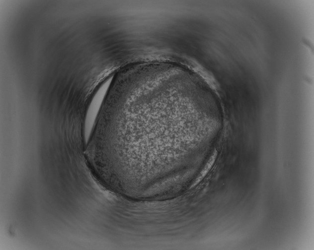 X0000091310009200708241124