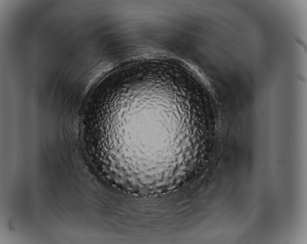 X0000091310010200708241124