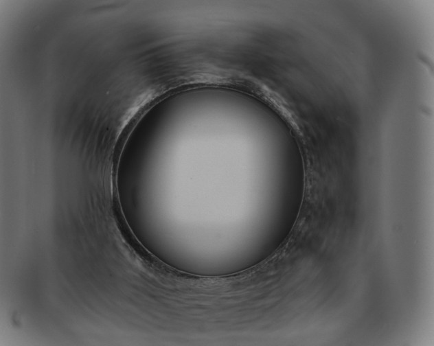 X0000091310011200708241124