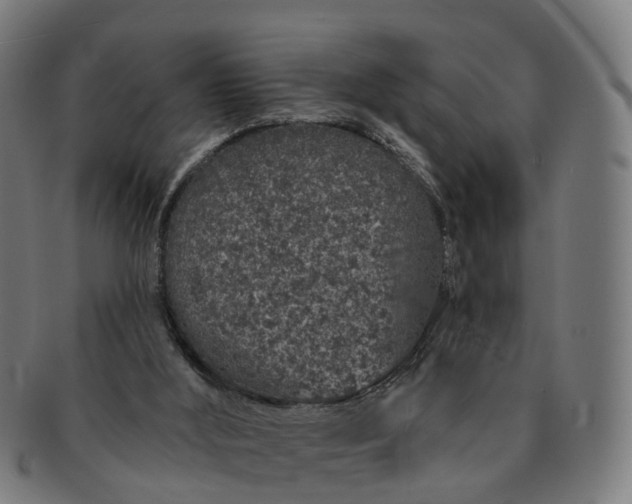 X0000091310012200708241124