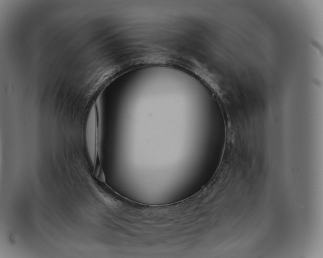 X0000091310013200708241124