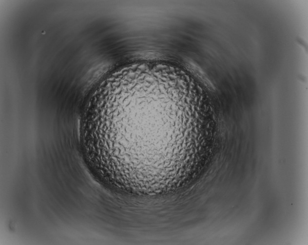 X0000091310014200708241124