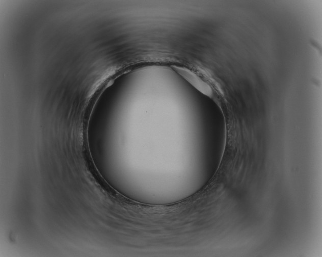 X0000091310015200708241124