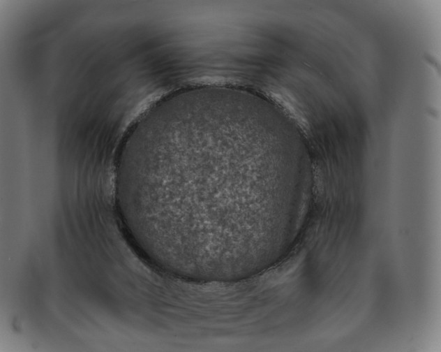 X0000091310016200708241124