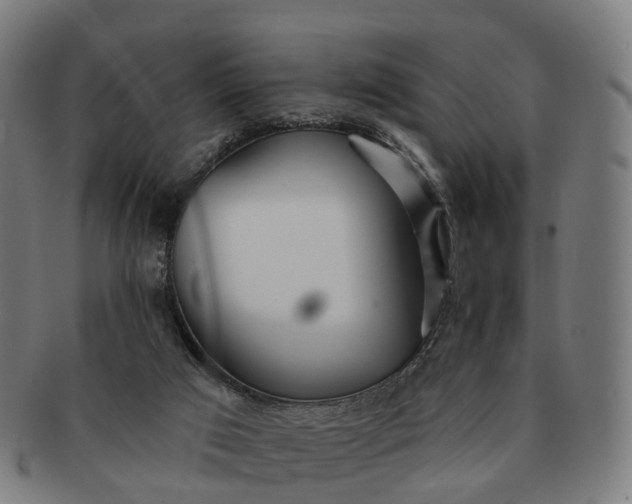 X0000091310017200708241124