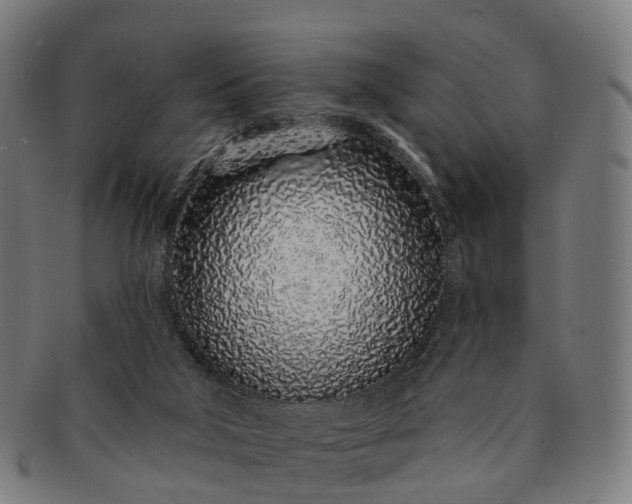 X0000091310018200708241124