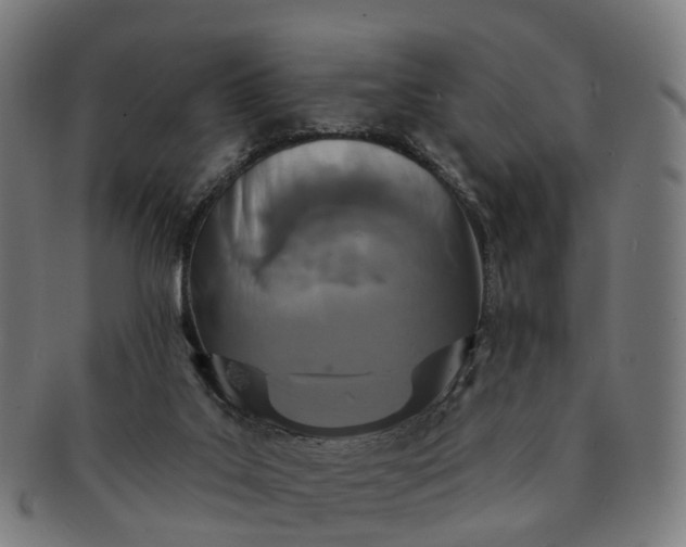 X0000091310019200708241124