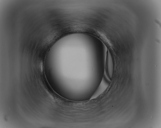 X0000091310021200708241124