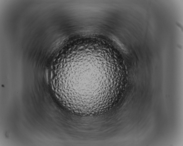 X0000091310022200708241124