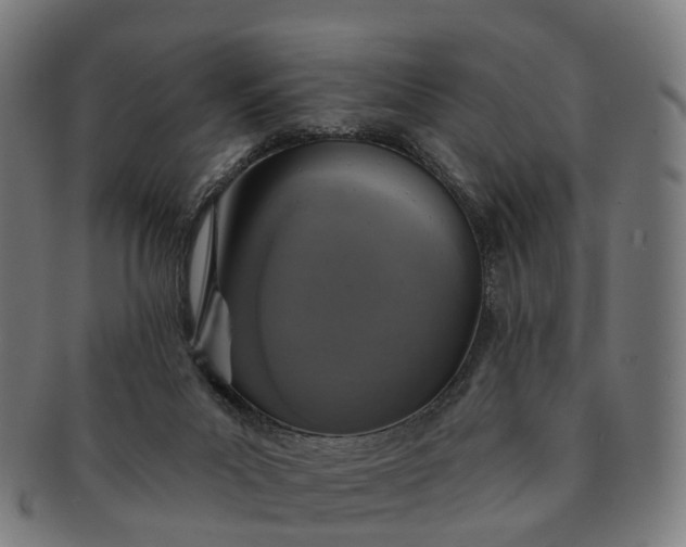 X0000091310023200708241124