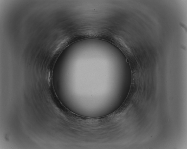 X0000091310024200708241124