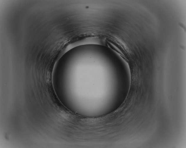 X0000091310025200708241124