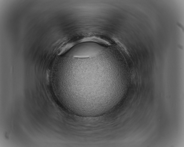 X0000091310026200708241124