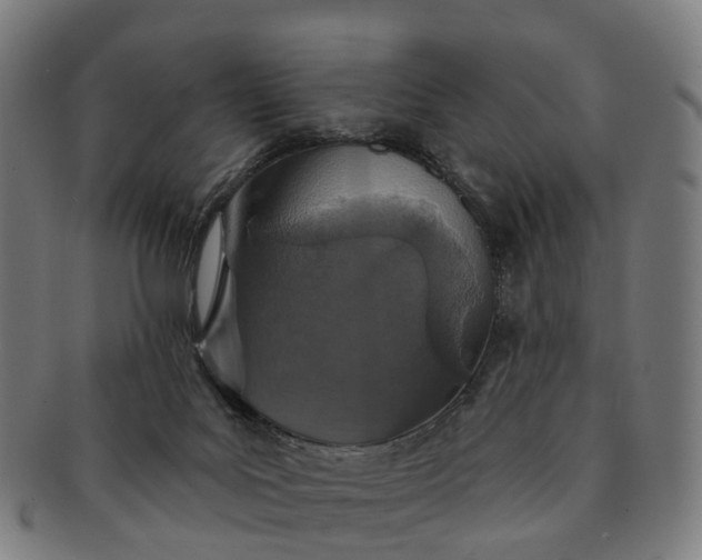 X0000091310027200708241124