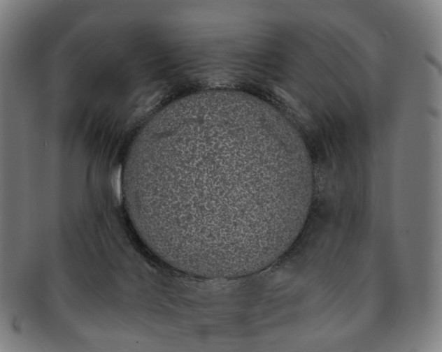 X0000091310028200708241124