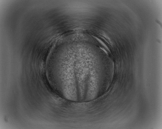 X0000091310029200708241124