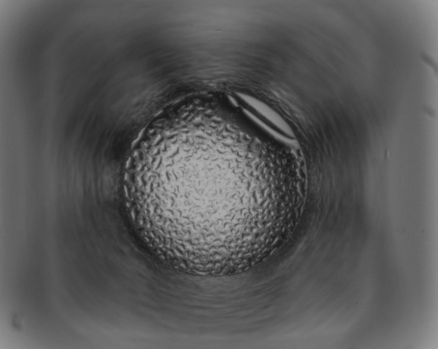 X0000091310030200708241124