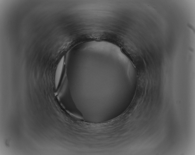 X0000091310031200708241124