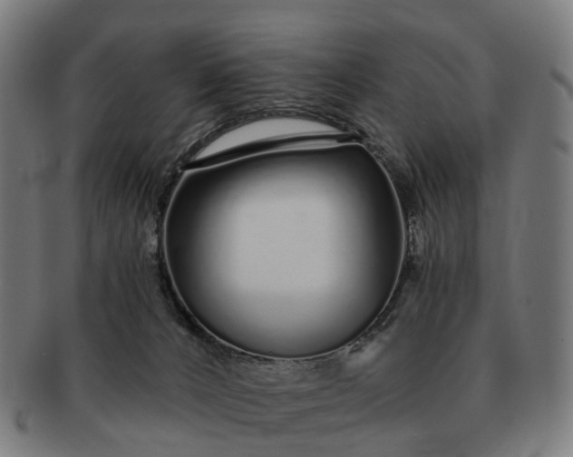 X0000091310032200708241124