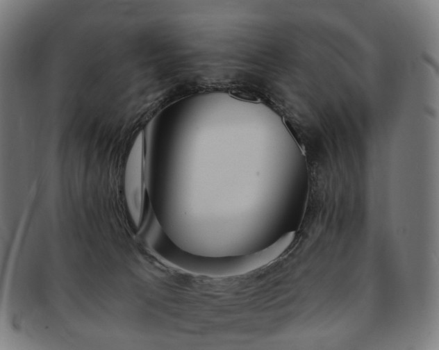 X0000091310033200708241124