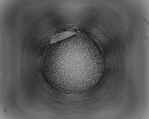 X0000091310034200708241124