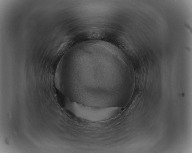 X0000091310035200708241124