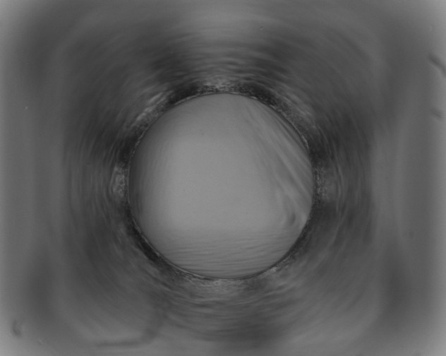 X0000091310036200708241124