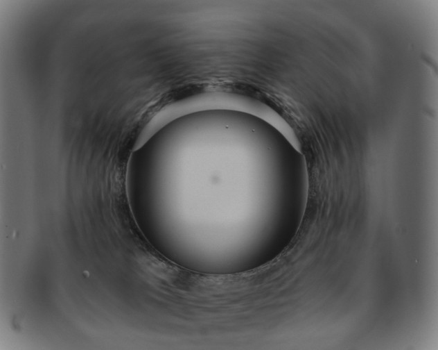 X0000091310037200708241124