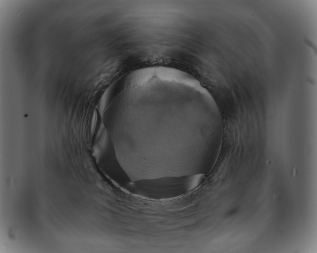 X0000091310039200708241124