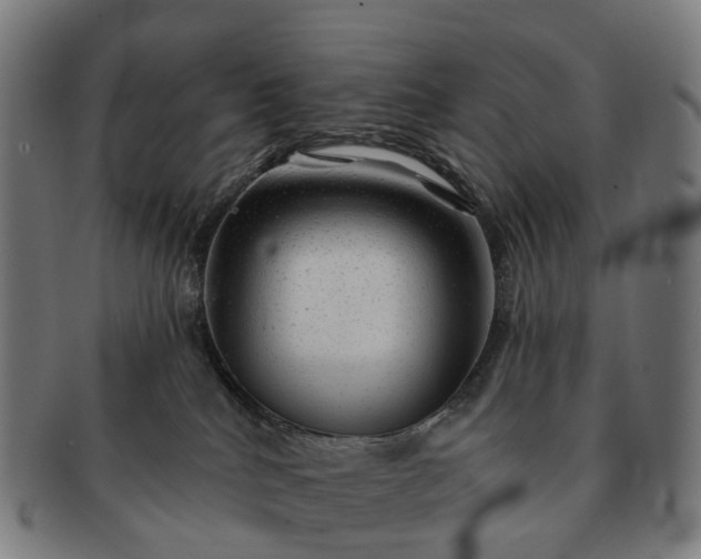 X0000091310040200708241124