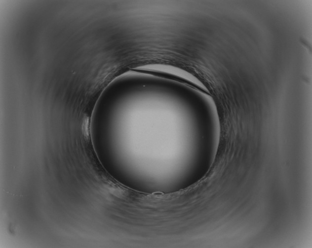 X0000091310041200708241123