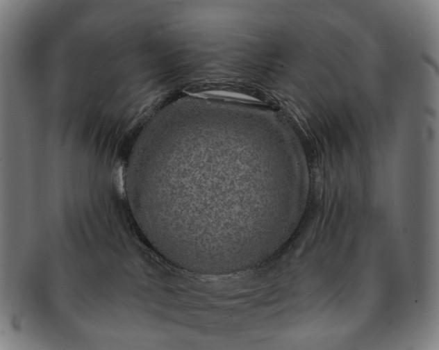 X0000091310042200708241123