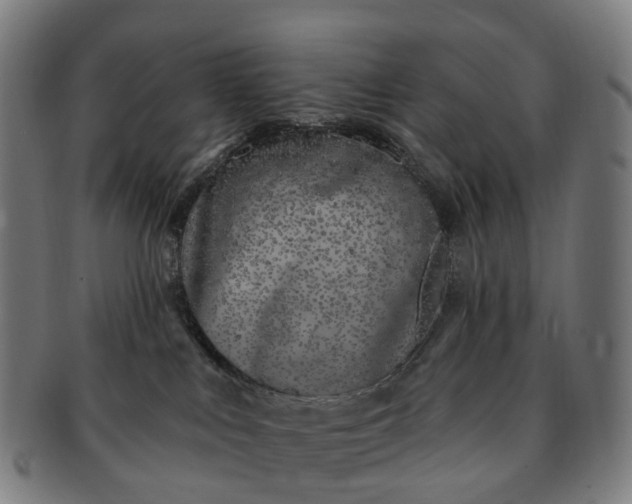 X0000091310043200708241123