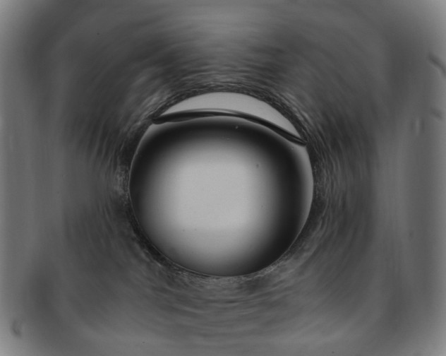 X0000091310044200708241123