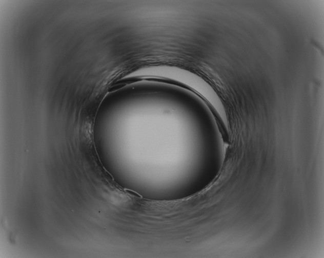 X0000091310045200708241123