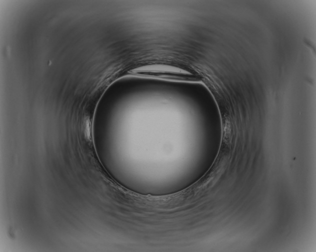 X0000091310046200708241123