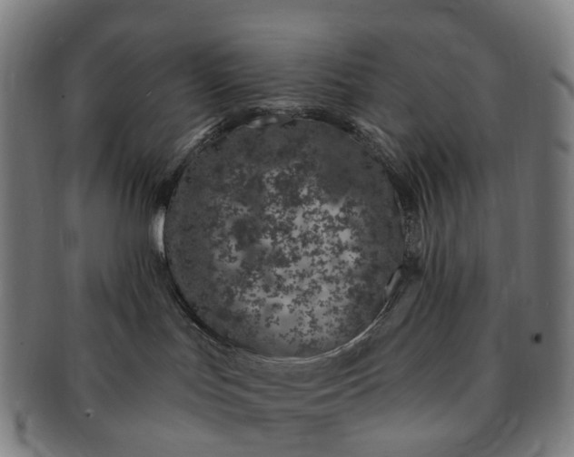 X0000091310047200708241123