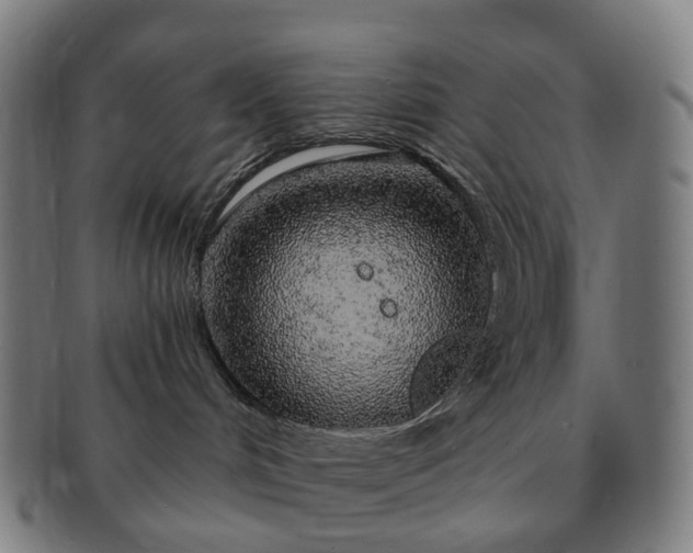 X0000091310048200708241123