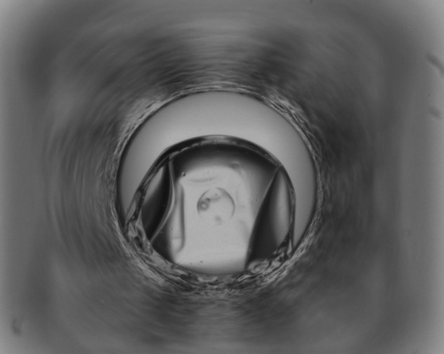 X0000091310049200708241123