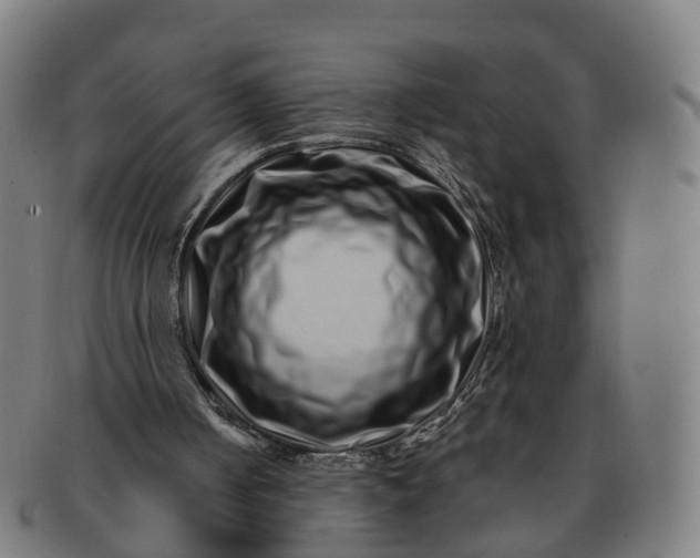 X0000091310050200708241123