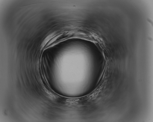 X0000091310051200708241123