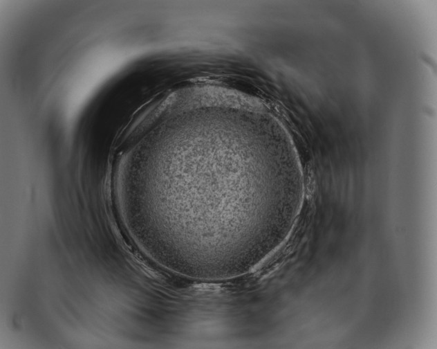 X0000091310052200708241123