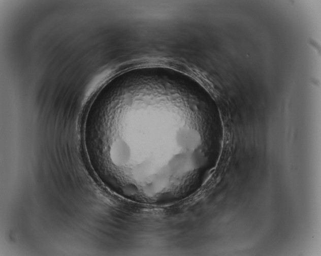 X0000091310053200708241123