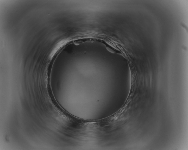 X0000091310054200708241123