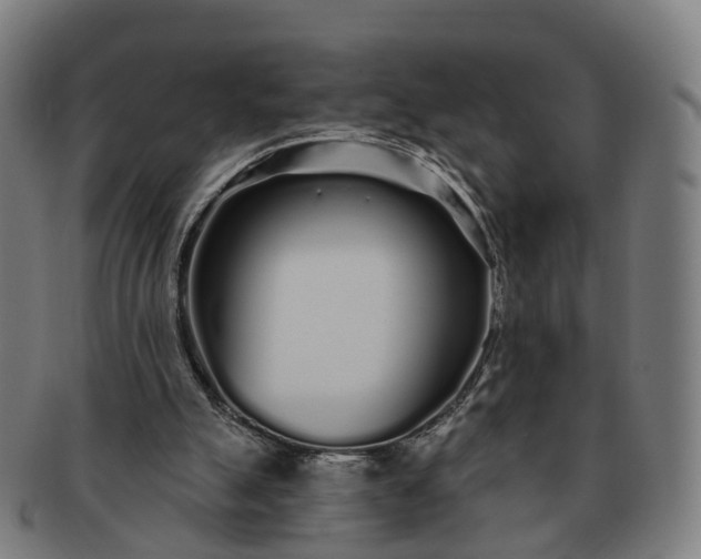 X0000091310055200708241123