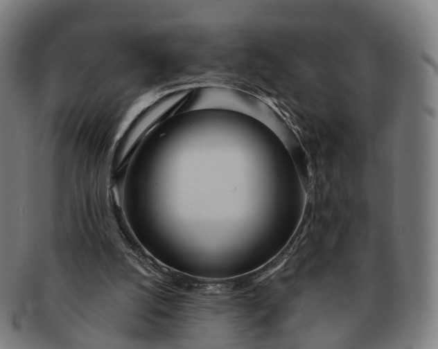 X0000091310056200708241123