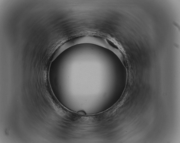 X0000091310057200708241123