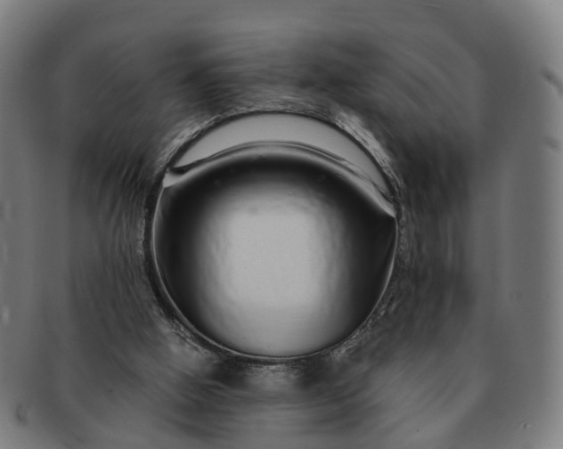 X0000091310058200708241123