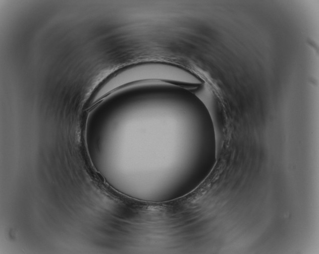 X0000091310060200708241123